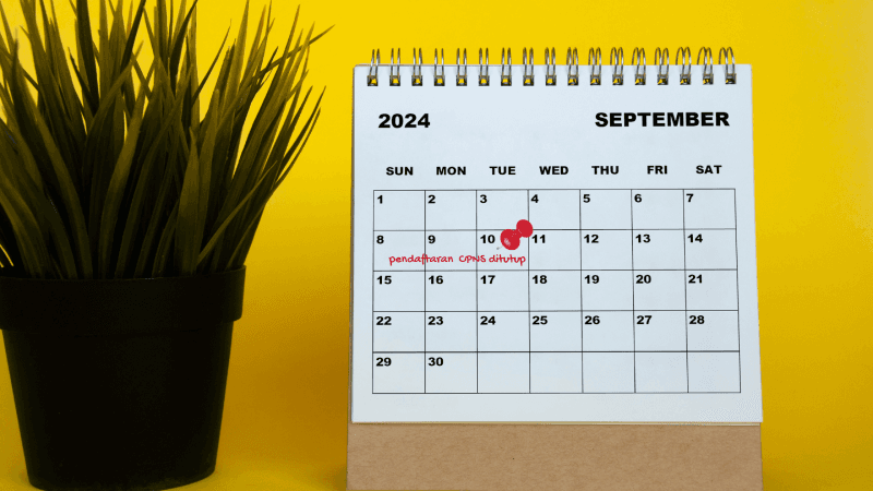 Passing Grade SKD CPNS 2026 Naik! Ini Strategi Lolos dengan Skor Tinggi